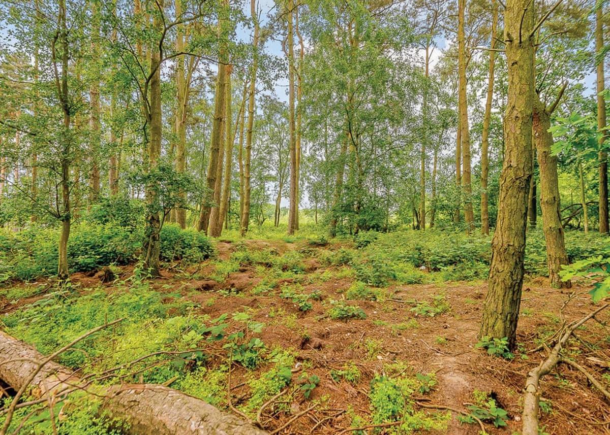 Woodhall Country Park Lodges Woodhall Spa Kültér fotó